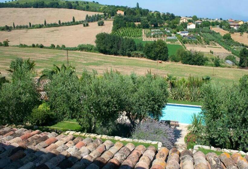 סוויטה דלוקס, Villarondanella