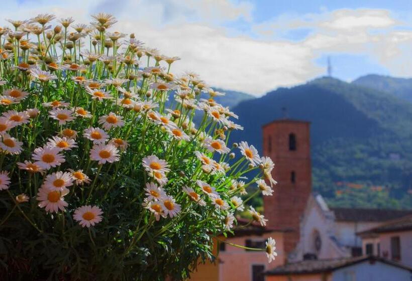 جناح جونيور مزوَّد بتراس, Palagi