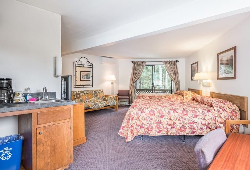 디럭스 스튜디오, Mt Liberty Cabins And Motel