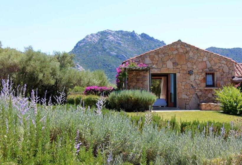 סוויטת סופריור, Albero Capovolto