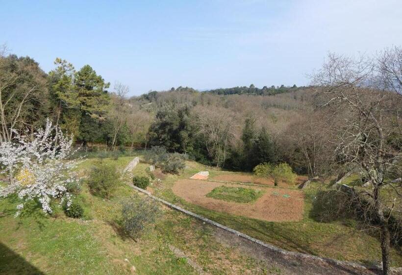 اتاق استاندارد با چشمانداز باغ, I Lecci