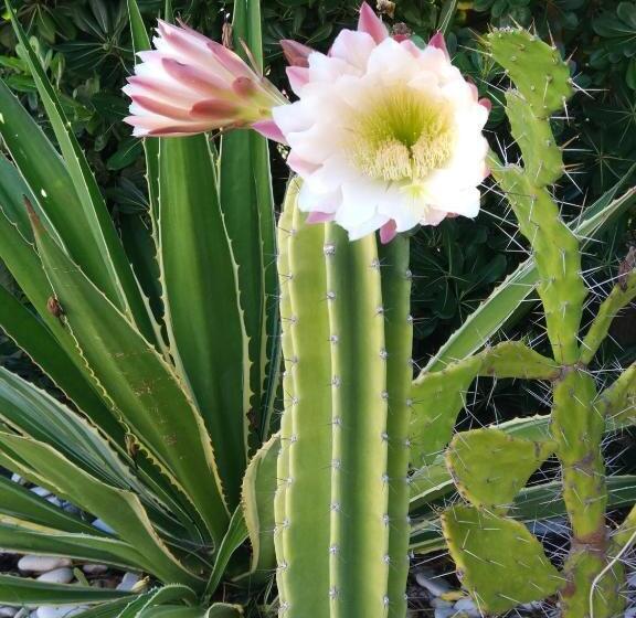 Номер Стандарт Вид на Море, La Casa A Mare