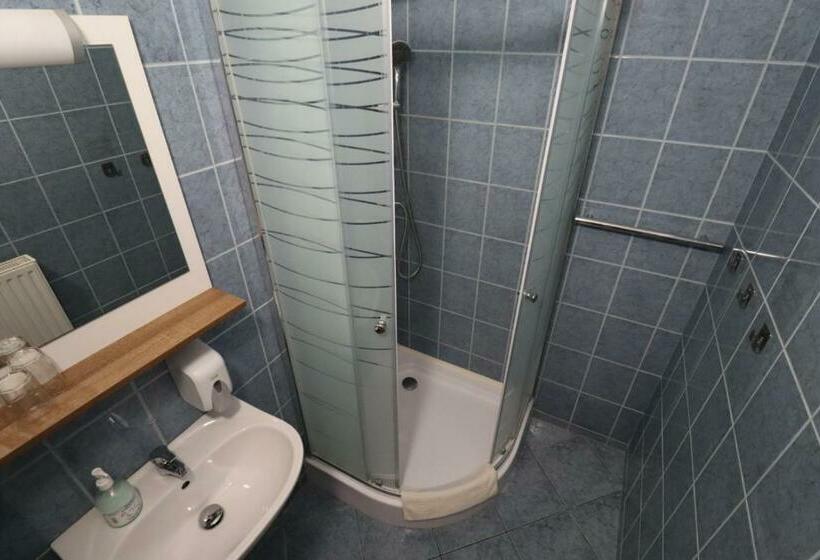 חדר סטנדרט, Vadkacsa Panzio