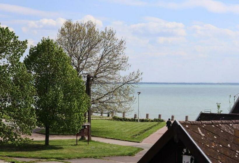 חדר סטנדרט, Vadkacsa Panzio