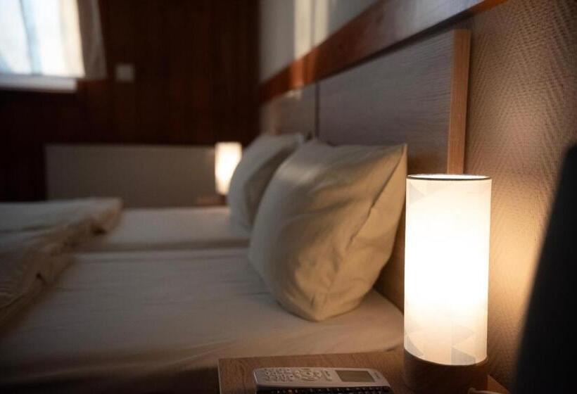 חדר סטנדרט לארבעה, Vadkacsa Panzio