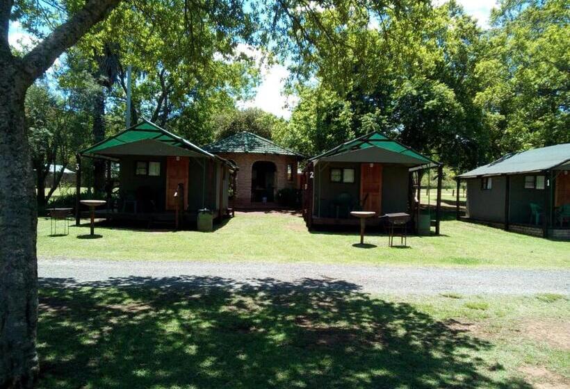 Standard Tent, Sabie River Camp