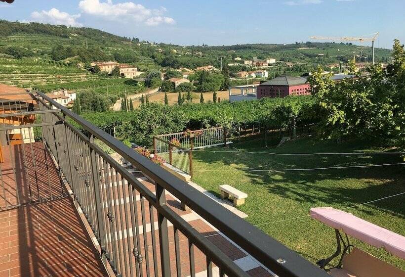 Номер Стандарт, La Bella Vigna