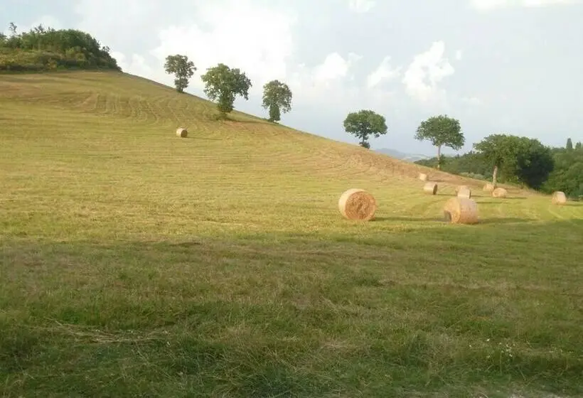 エコノミールーム, B&b Monticelli
