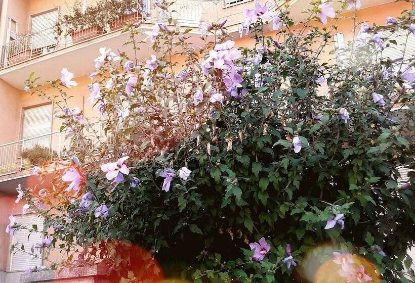 اتاق استاندارد, Bed & Breakfast Corso Di Francia