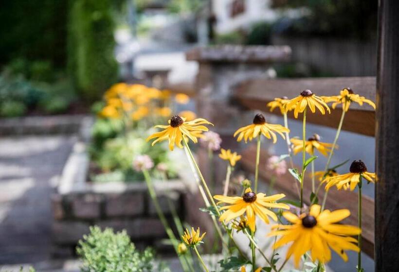 חדר סטנדרט לארבעה, Am Anger