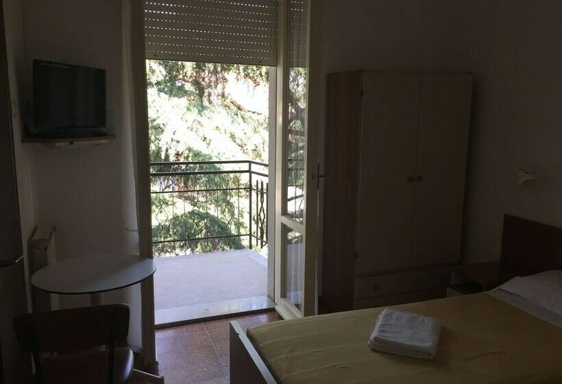 标准单人间, Belvedere