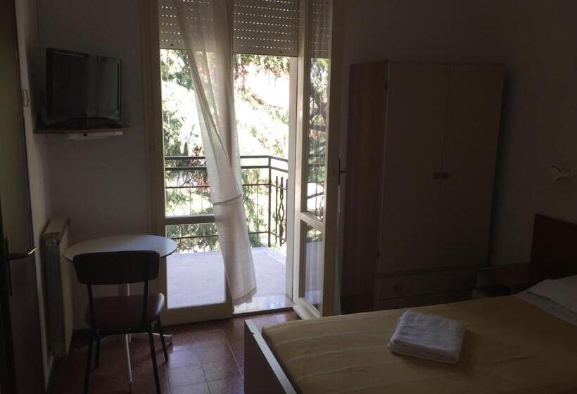 标准单人间, Belvedere