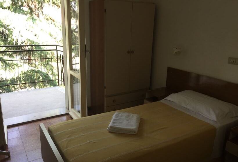 标准单人间, Belvedere