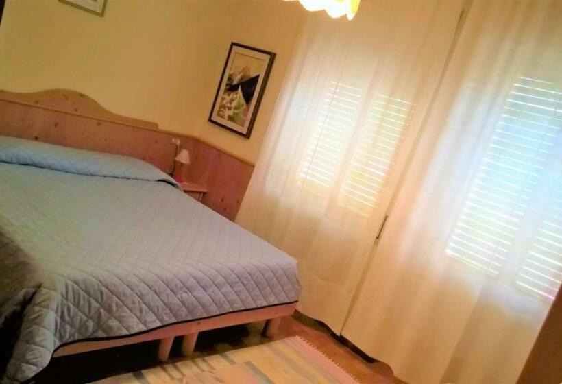 Номер Стандарт, Zoldana