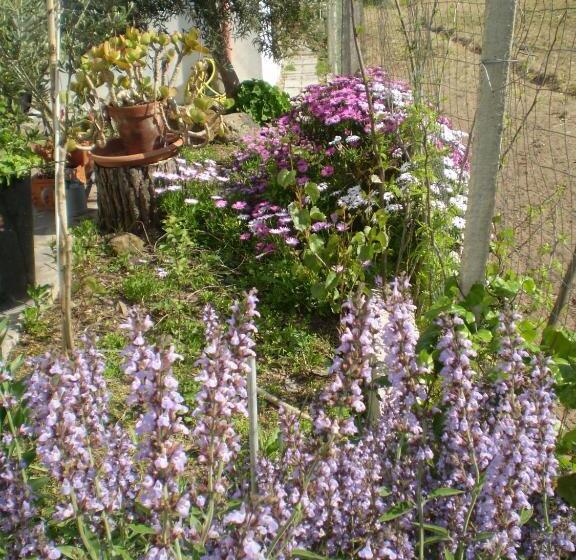 חדר סטנדרט, Il Giardino Di Emilio