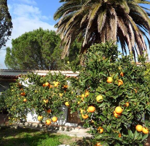סטודיו סטנדרטי נוף לגינה, Il Giardino Di Emilio