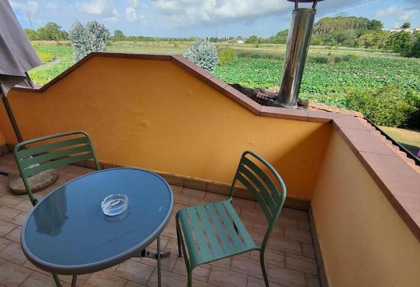 غرفة قياسية, Cecco Di Nara