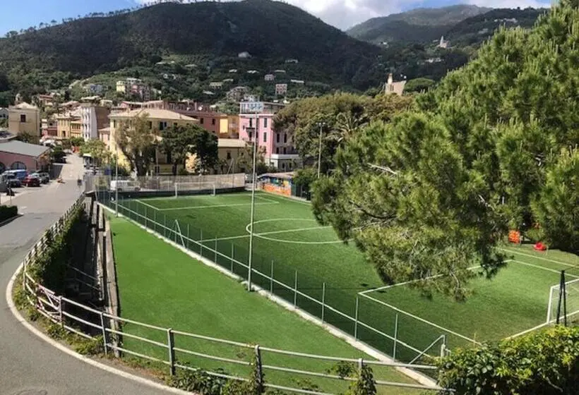 اتاق استاندارد یک نفره, Feluca