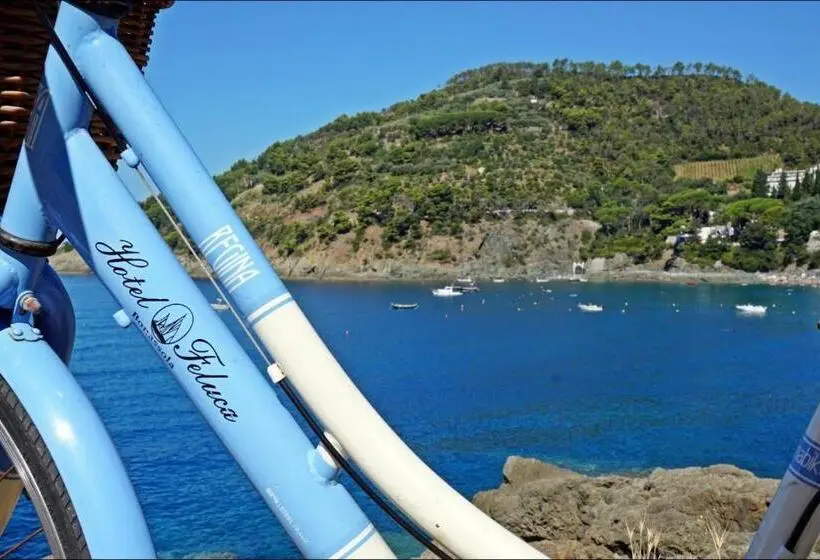 اتاق استاندارد یک نفره, Feluca