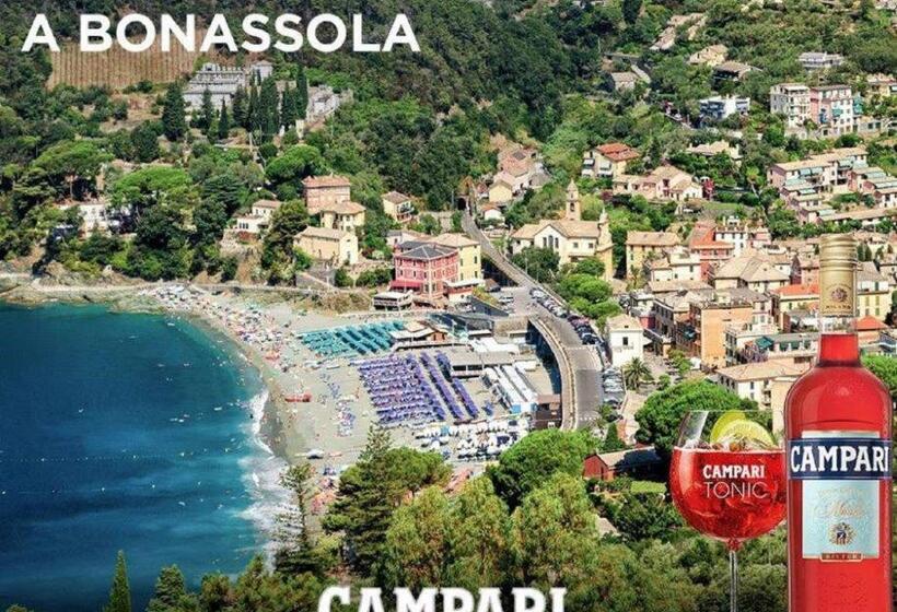 חדר סטנדרט יחיד, Feluca