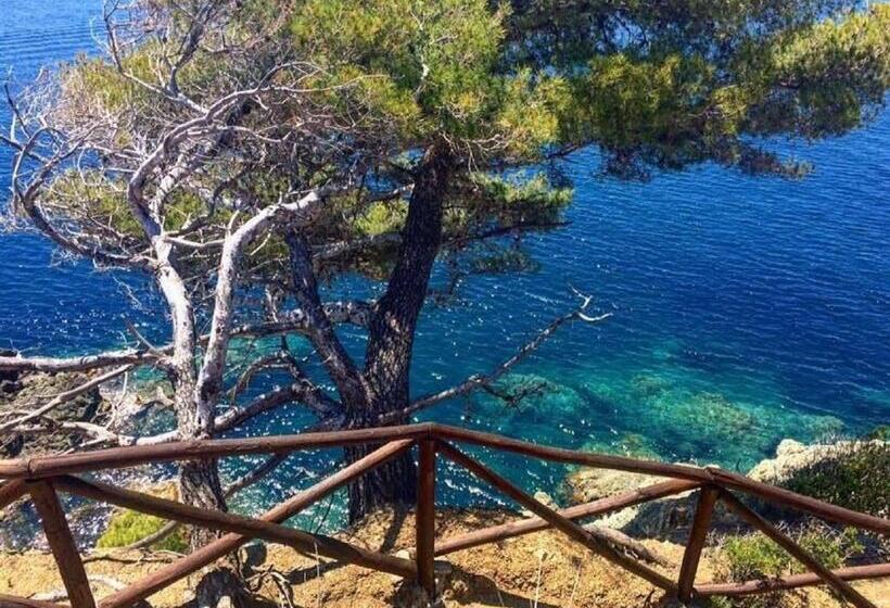 חדר סטנדרט נוף לים עם מרפסת, Feluca