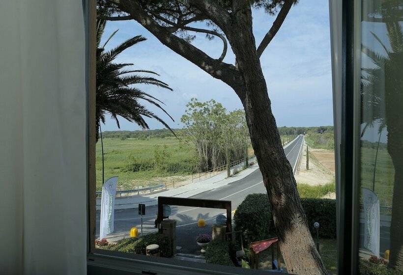 スタンダードルーム, Il Mulinaccio