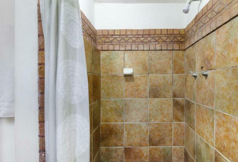 スタンダードルーム, Olimpia