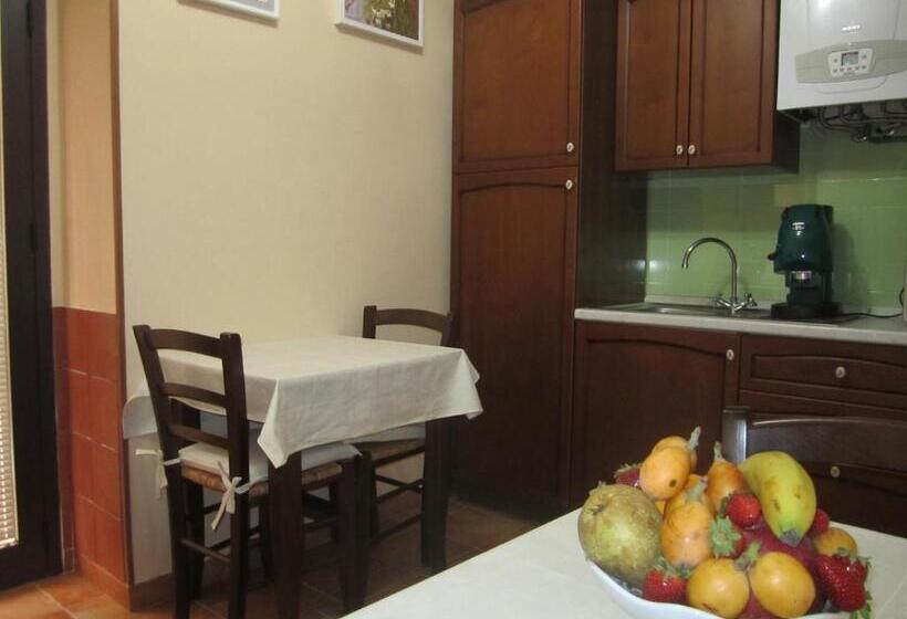 １ベッドルームアパートメント, Bed & Breakfast Hostel H24