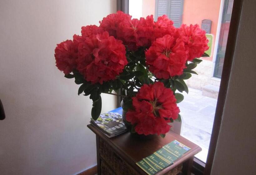 スタンダード４人部屋, Bed & Breakfast Hostel H24