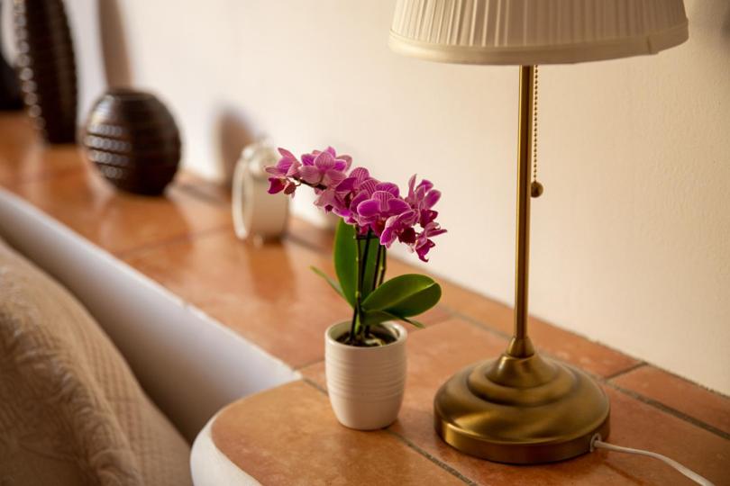 Люкс Superior, Châteauzen