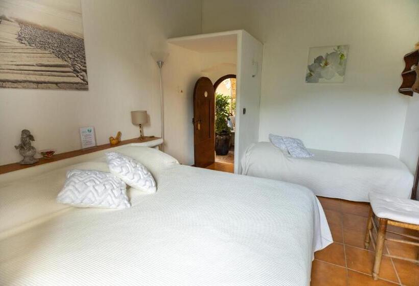 Номер Стандарт, Châteauzen