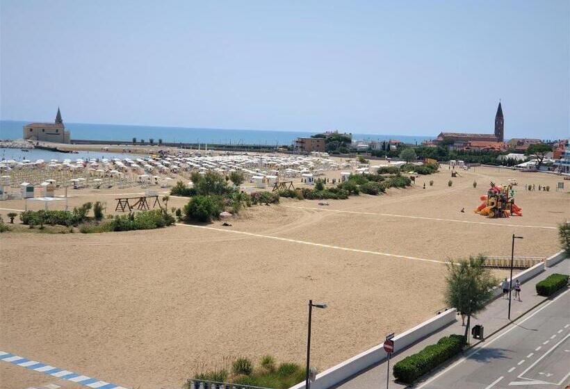 Economy Zimmer, Delfino