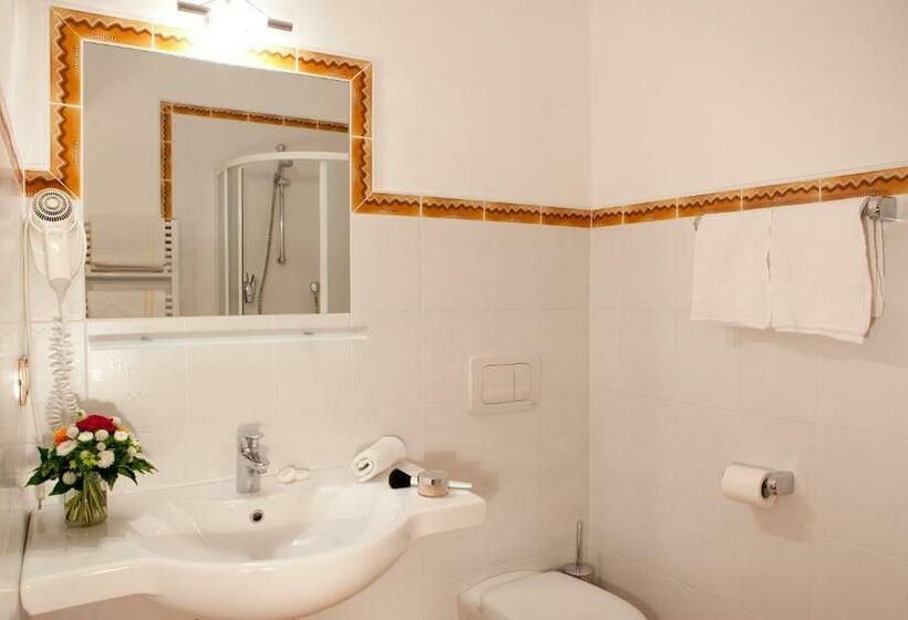 스탠다드 싱글 룸, Garni Appartement Gartenheim