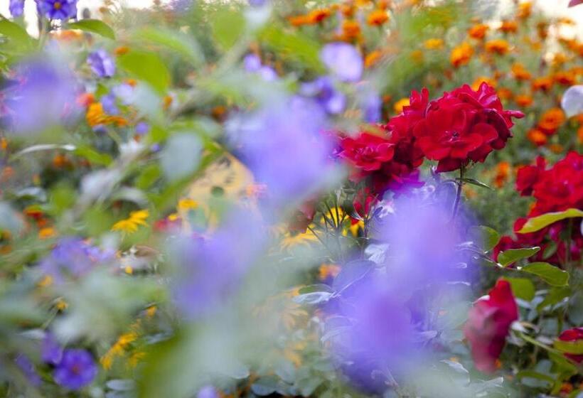 غرفة قياسية لذوى الاحتياجات الخاصة, Garni Appartement Gartenheim
