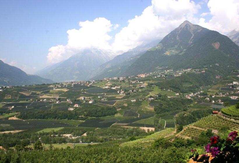 발코니 스탠다드 싱글 룸, Garni Appartement Gartenheim