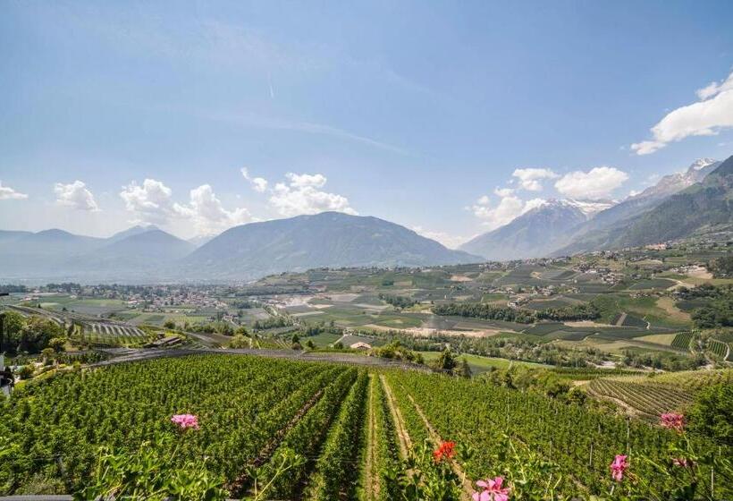 شقة غرفة واحدة, Garni Appartement Gartenheim