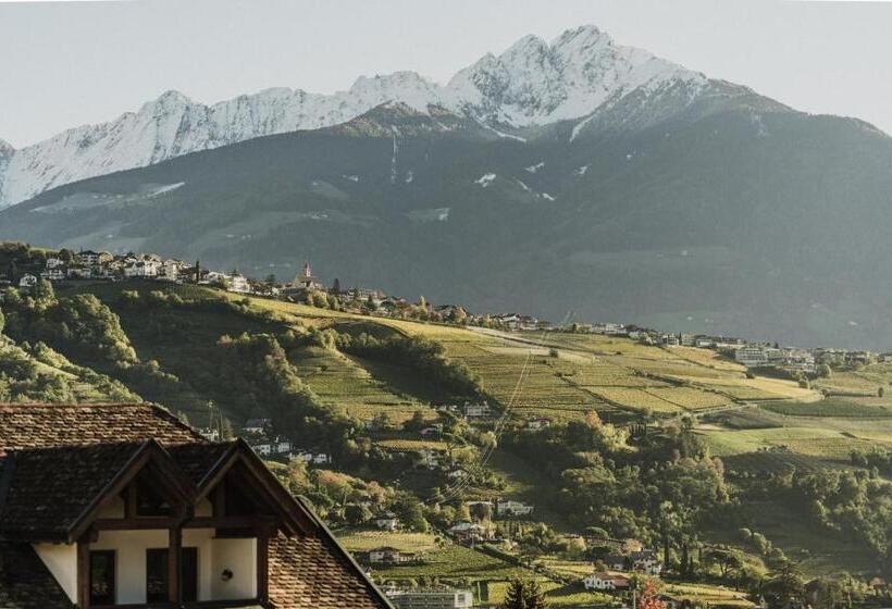 חדר סטודיו סטנדרד, Thalguter   Rooms & Breakfast