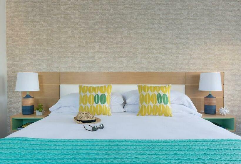 غرفة قياسية, Summercamp