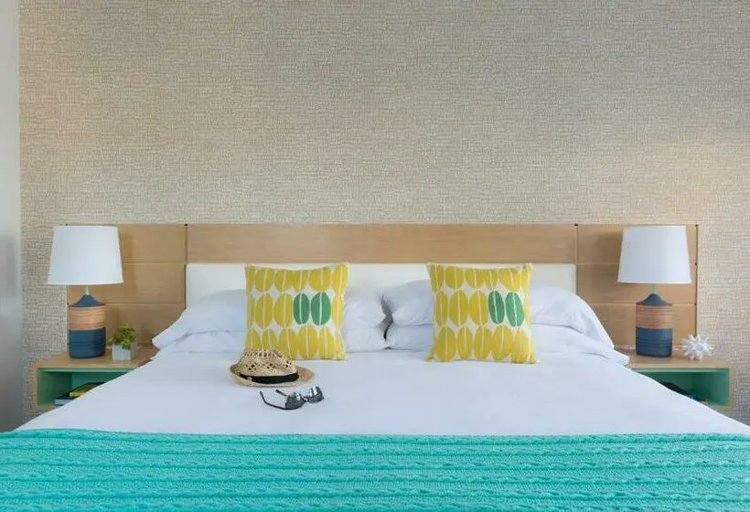 スタンダードルーム, Summercamp