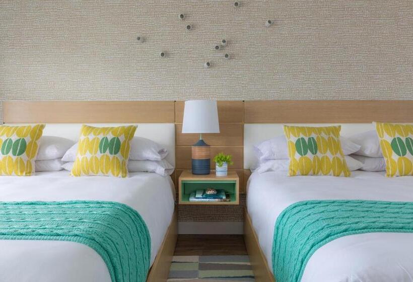 غرفة قياسية, Summercamp