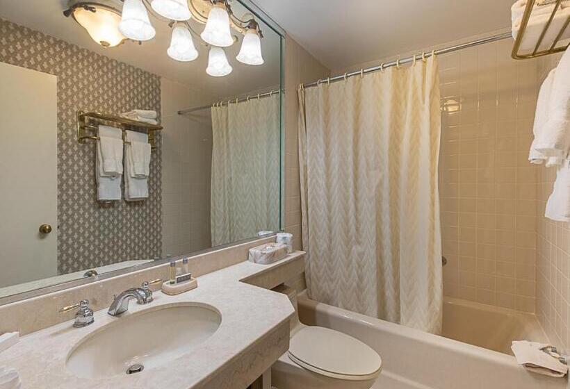 Номер Superior, The Avenue Plaza