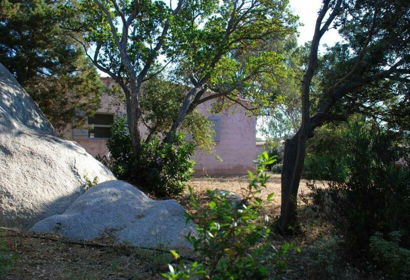 Апартаменты 1 Спальня, Residence Ribellinu