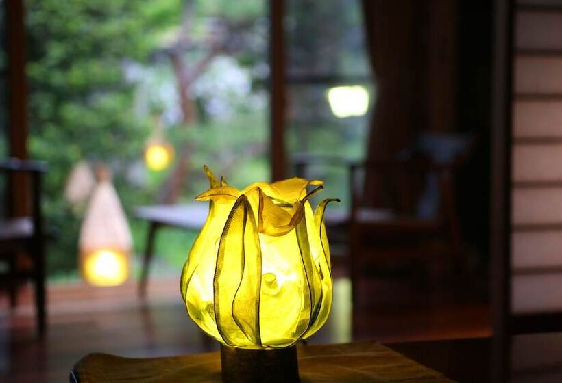 اتاق استاندارد, Kamei No Yu