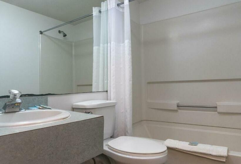 Номер Стандарт 2 Двуспальные Кровати, The Admiral Hotel/motel