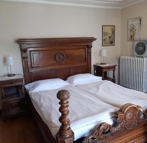 Номер Стандарт Вид на Озеро, Albergo Milano 1920