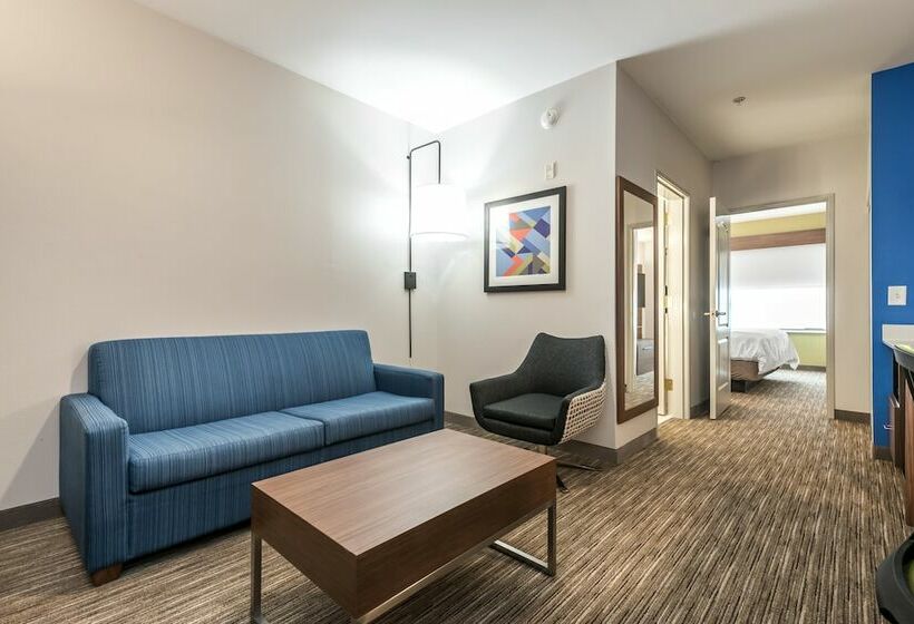 Suite Przystosowany dla Osób Niepełnosprawnych, Holiday Inn Express Hotel & Suites Lagrange I 85, An Ihg