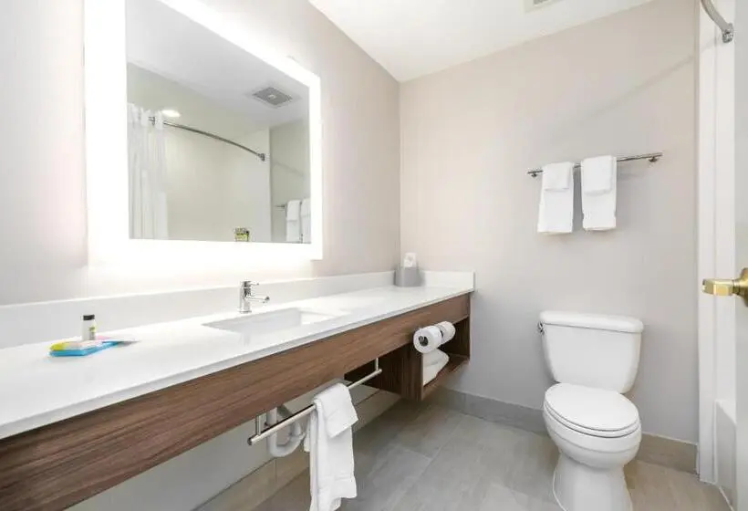 身障者適用キングサイズベッドルーム, Holiday Inn Express Hotel & Suites Lagrange I 85, An Ihg