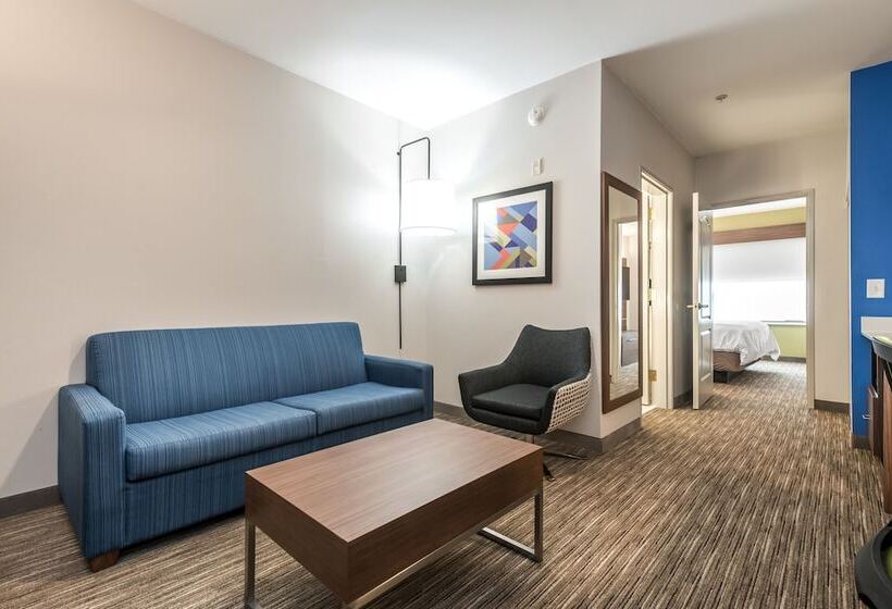 Suite Przystosowany dla Osób Niepełnosprawnych, Holiday Inn Express Hotel & Suites Lagrange I 85, An Ihg