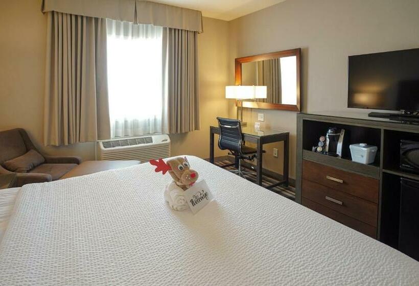 キングサイズベッドのスタンダードルーム, Fairfield Inn & Suites By Marriott Airdrie