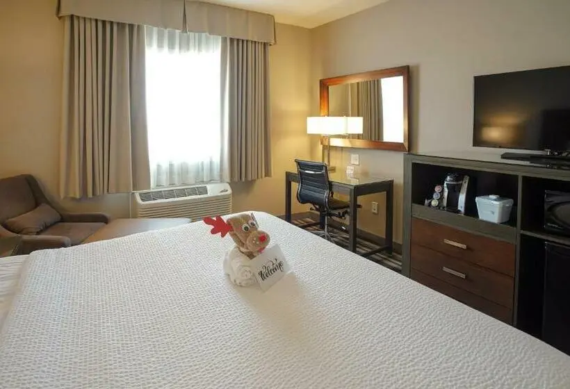 Standard-huone King-vuode, Fairfield Inn & Suites By Marriott Airdrie